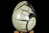 Septarian Dragon Egg Geode - Black Crystals #78547-1